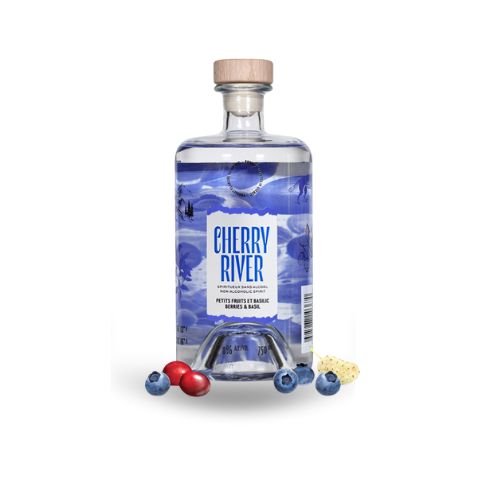 Gin Petits Fruits et Basilic – 750 ml – spiritueux sans alcool – vue 2