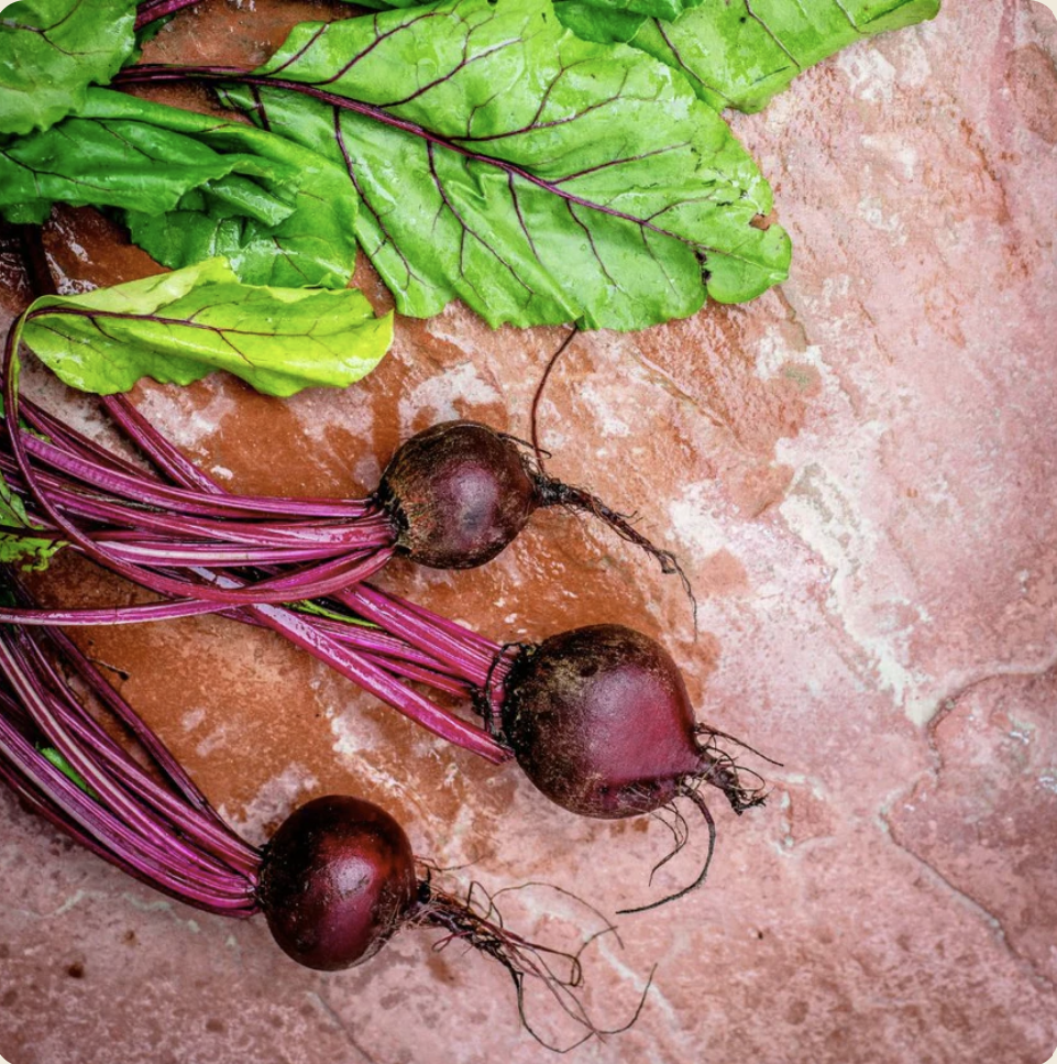 Latté à la Betterave - Énergisant et Clarté mentale - Caféine du Yerba Maté - Sans sucre - Superaliments - Antioxydants - Sans Gluten - Vegan - 20 Portions - SETA Organic 125 g – Image 4