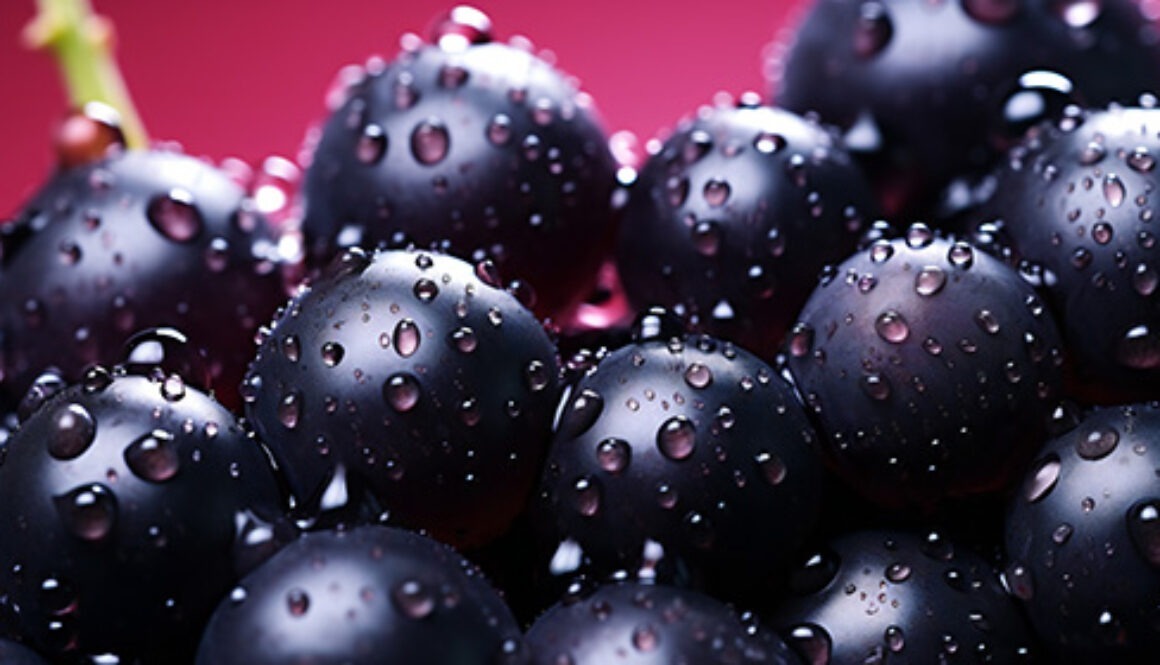 Slush aux cassis